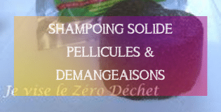 DIY SHAMPOING SOLIDE PELLICULES & DEMANGEAISONS | MA PLANETE BEAUTE